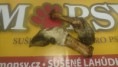 /album/hovezi-pouze-na-objednani/teleci-noha-jpg/